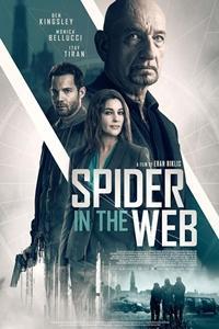 spider_in_the_web