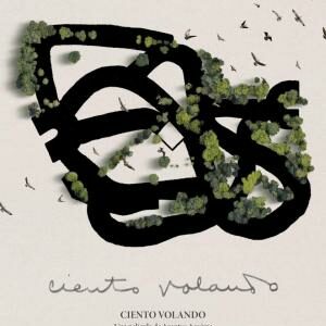 CIENTO VOLANDO