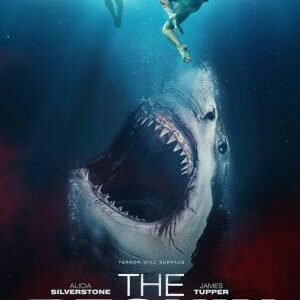 SHARKWATER